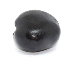 Laxmi Narayan Shaligram