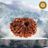 13 Faced Natural Nepali Rudraksha Beads