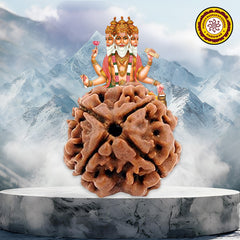 4 face / Mukhi Nepali Rudraksha
