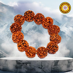 6 Mukhi Rudraksh Bracelet