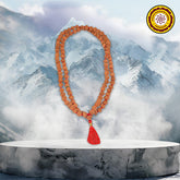9 Mukhi Indonesian Rudraksha Mala