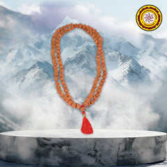 9 Mukhi Indonesian Rudraksha Mala