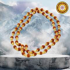 Golden Color Metal Cap Rudraksha Mala