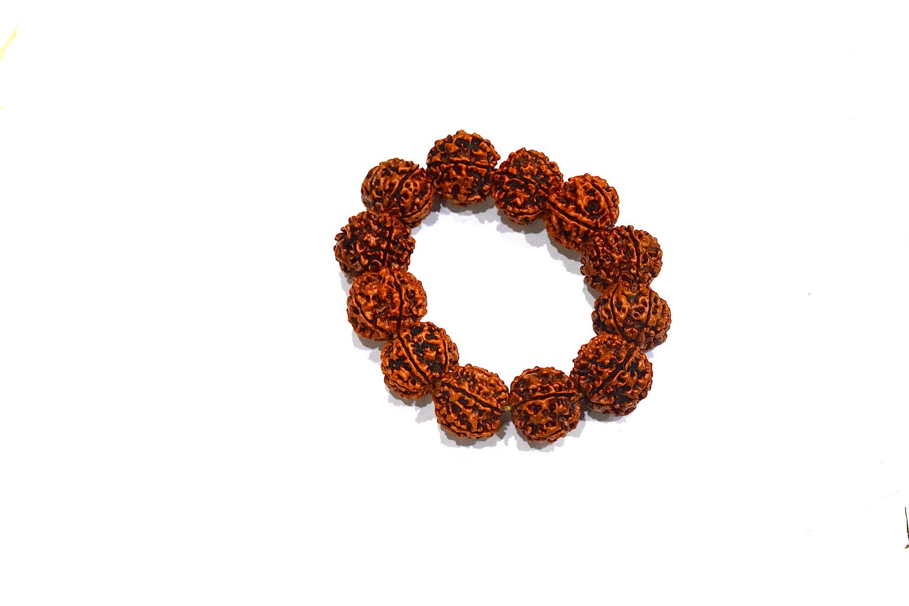 6 Mukhi Rudraksh  Bracelet