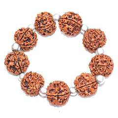 Charming 5 Mukhi Rudraksha & Parad beads Bracelet