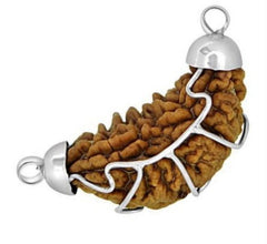 1 Mukhi Caping Rudraksha