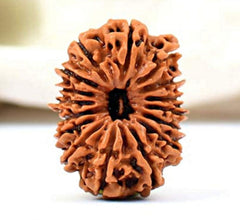 16 Faced Natural Nepali Rudraksha Beads