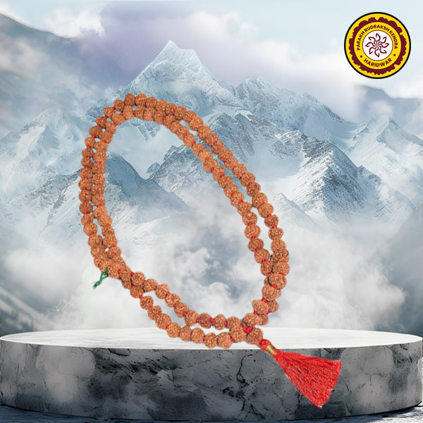 10 Mukhi Indonesian Rudraksha Mala