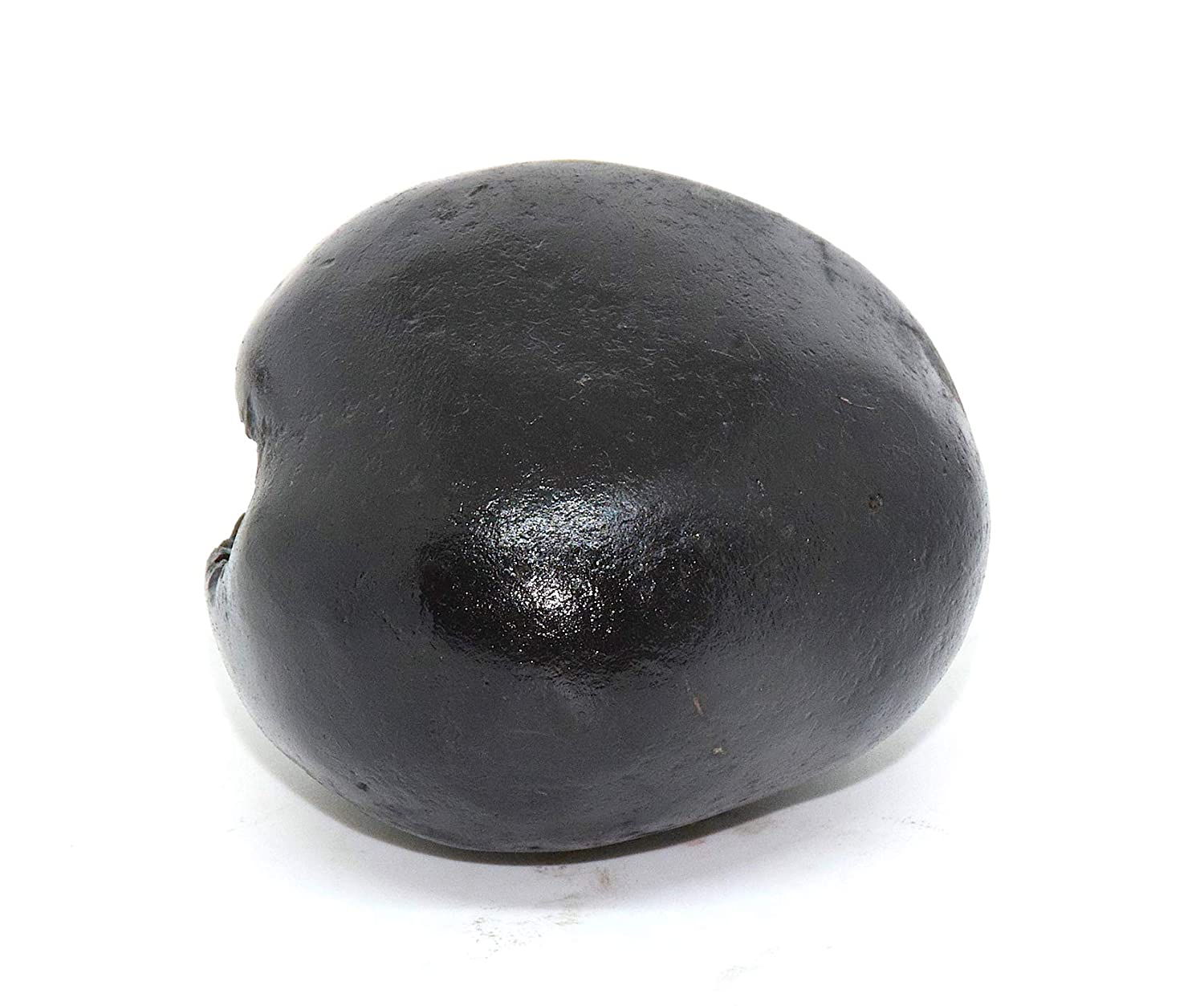 Laxmi Narayan Shaligram