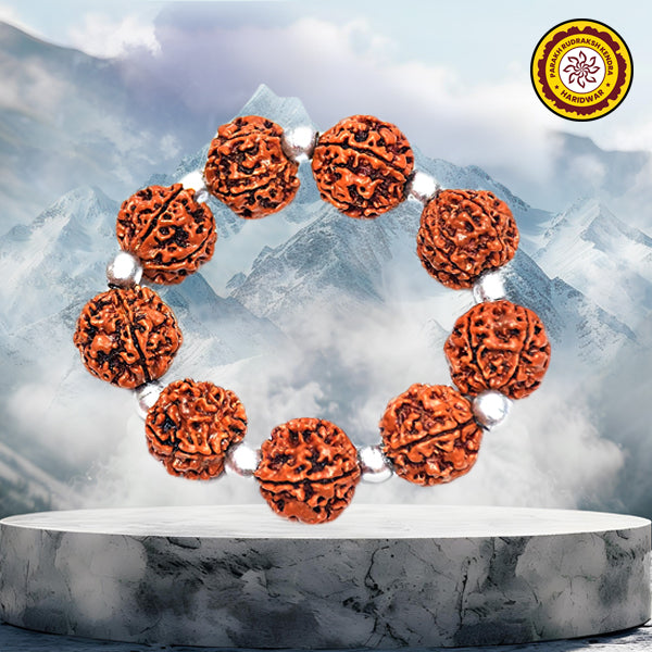 Charming 5 Mukhi Rudraksha & Parad beads Bracelet