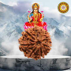 07 Faced Natural Nepali Rudraksha Beads