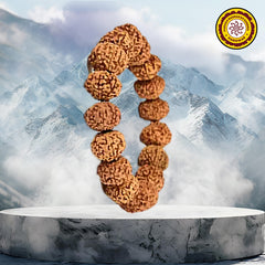 9 Mukhi Rudraksha Bracelet (Brown)