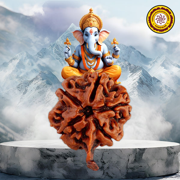 Ganesh Rudraksha Nepali Bead