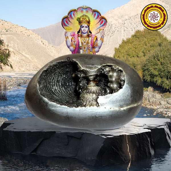 Laxmi Narayan Shaligram