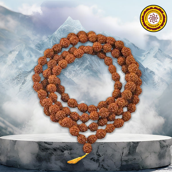 5 Mukhi Rudraksha Mala