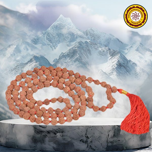 Rudraksha Semi Pathariya Mala 108 Beads